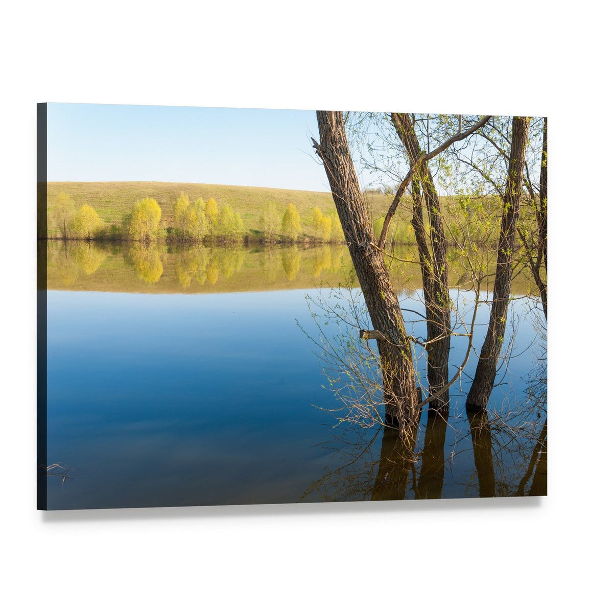Lake in Spring Park Canvas Wall Art, single panel gallery wrapped canvas, angled product view