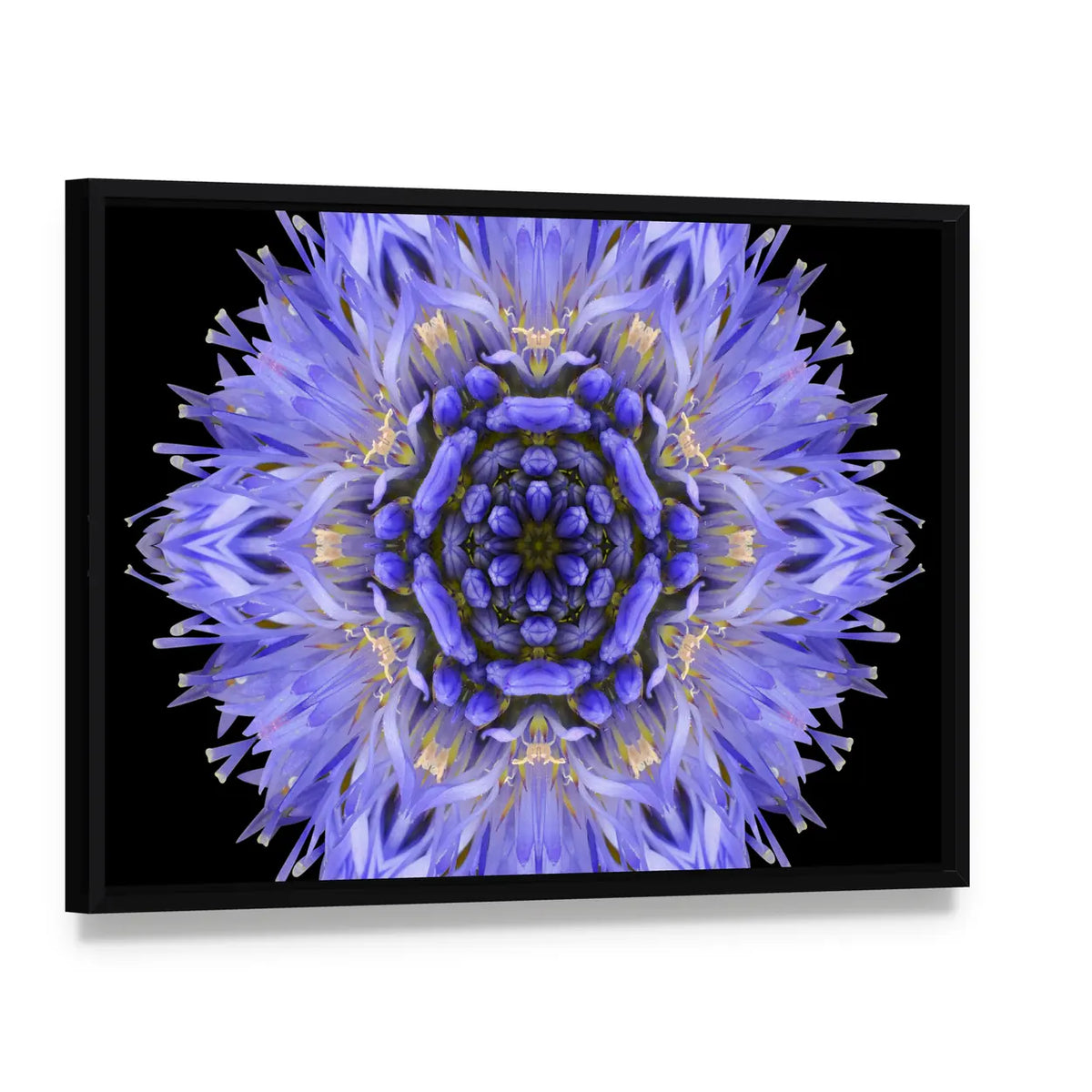 Blue Mandala Cornflower Canvas Wall Art, framed canvas in a black floater frame, angled product view
