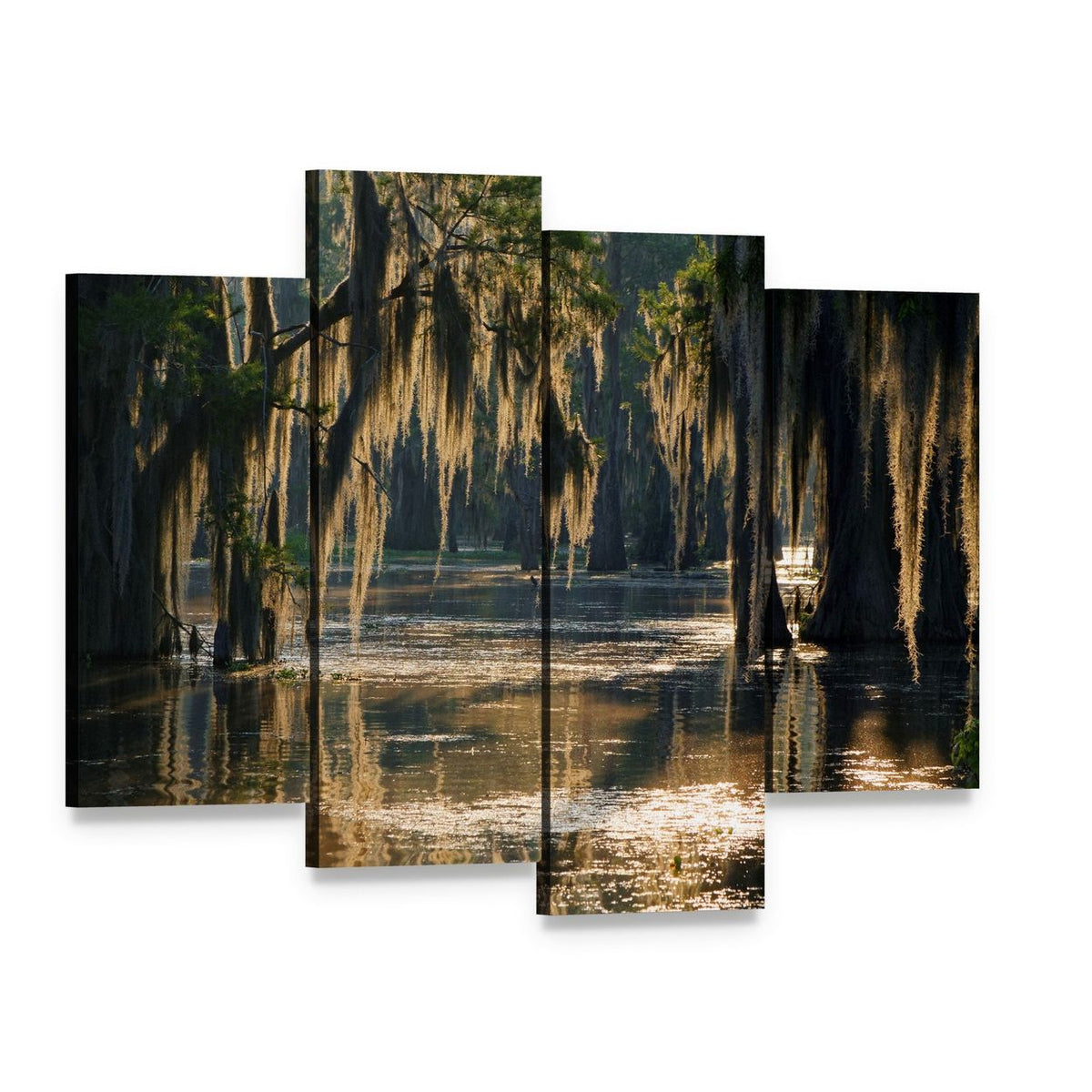 Spanish Moss in the Louisiana Bayou Canvas Wall Art, 4 panel 4 Pop layout gallery wrapped canvas set, angled product view