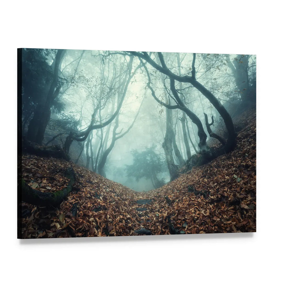 Misty Autumn Forest Path Canvas Wall Art, single panel gallery wrapped canvas, angled product view