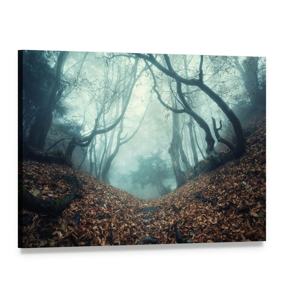 Mysterious Forest Path in Autumn Fog Canvas Wall Art, single panel gallery wrapped canvas, angled product view