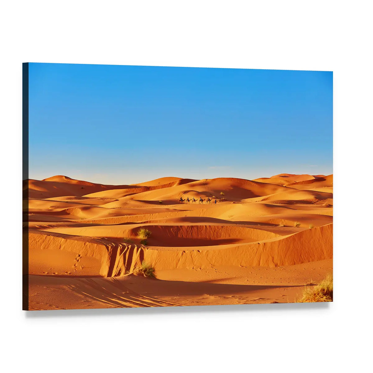 Sahara Dunes with Camel Caravan Canvas Wall Art, single panel gallery wrapped canvas, angled product view