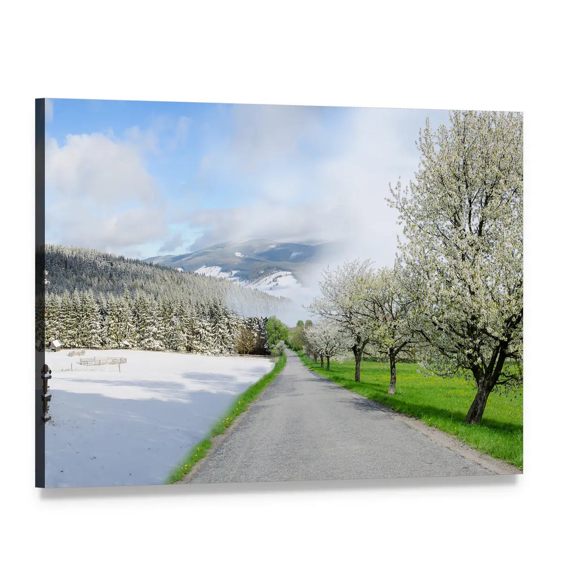 Road Between Winter and Spring Canvas Wall Art, single panel gallery wrapped canvas, angled product view