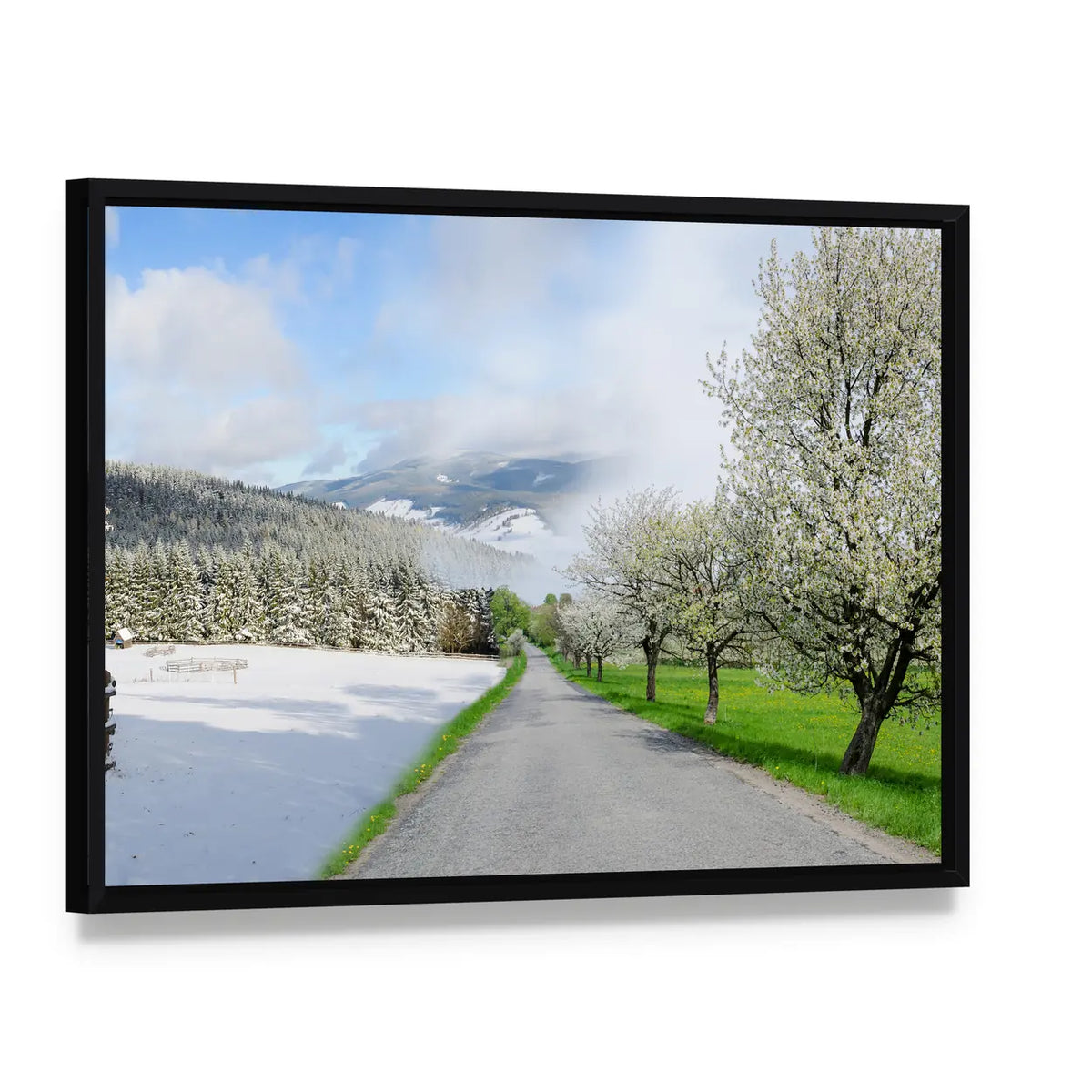 Road Between Winter and Spring Canvas Wall Art, framed canvas in a black floater frame, angled product view