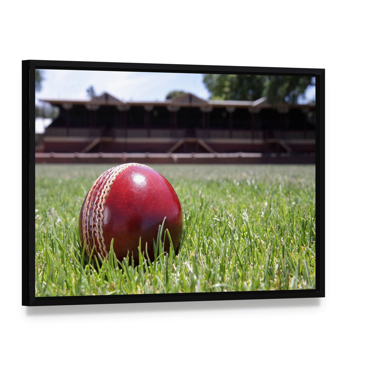 Cricket Ball on Grass Canvas Wall Art, framed canvas in a black floater frame, angled product view