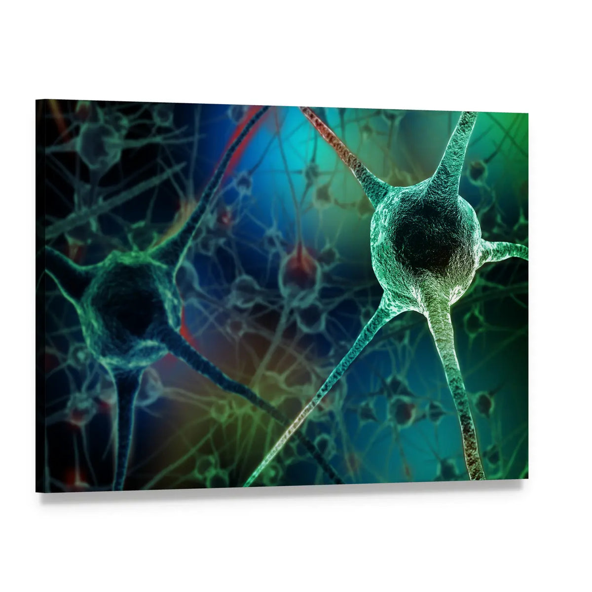 Realistic Neuron Rendering Canvas Wall Art, single panel gallery wrapped canvas, angled product view
