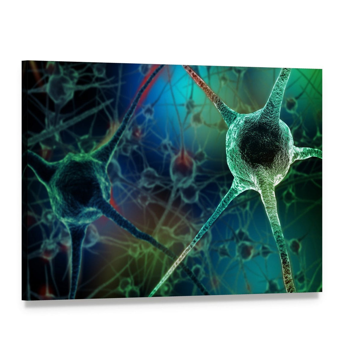 Realistic Neuron Rendering Canvas Wall Art, single panel gallery wrapped canvas, angled product view