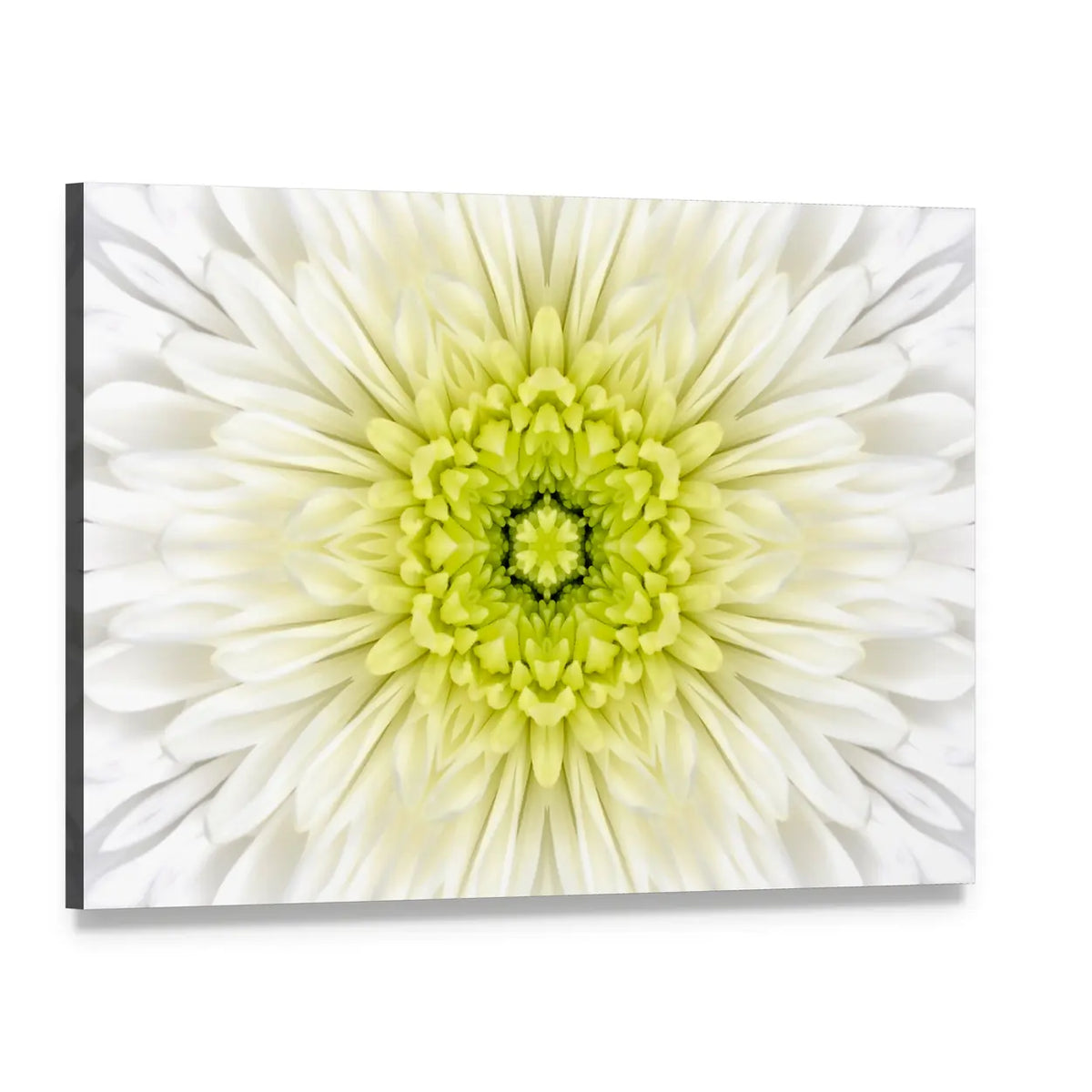 White Mandala Concentric Flower Canvas Wall Art, single panel gallery wrapped canvas, angled product view