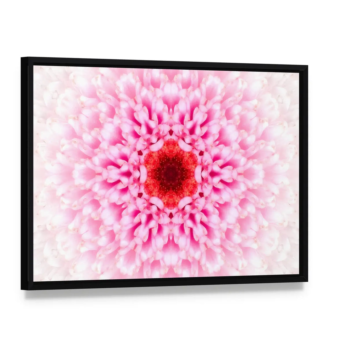 White Mandala Concentric Flower Canvas Wall Art, framed canvas in a black floater frame, angled product view