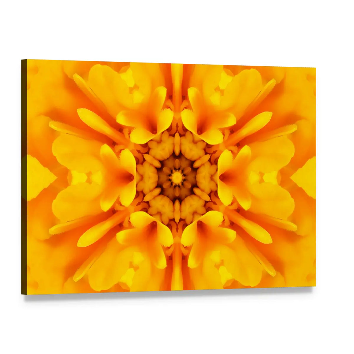 Yellow Mandala Flower Canvas Wall Art, single panel gallery wrapped canvas, angled product view