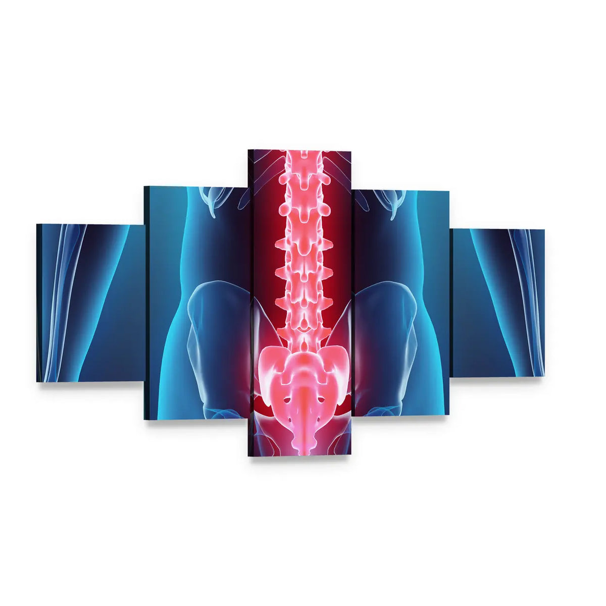 Anatomical Spine Illustration Canvas Wall Art, 5 panel 5 Star layout gallery wrapped canvas set, angled product view