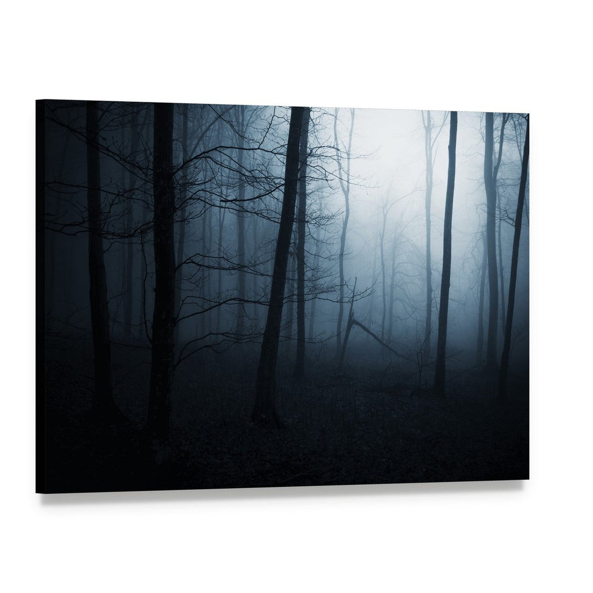 Foggy Haunted Jungle Canvas Wall Art, single panel gallery wrapped canvas, angled product view