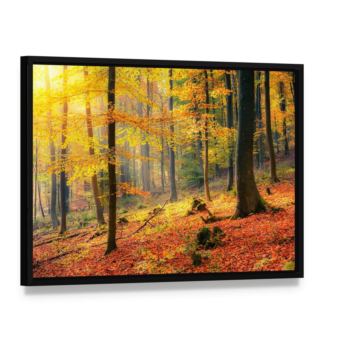 Foggy Autumn Forest Canvas Wall Art, framed canvas in a black floater frame, angled product view