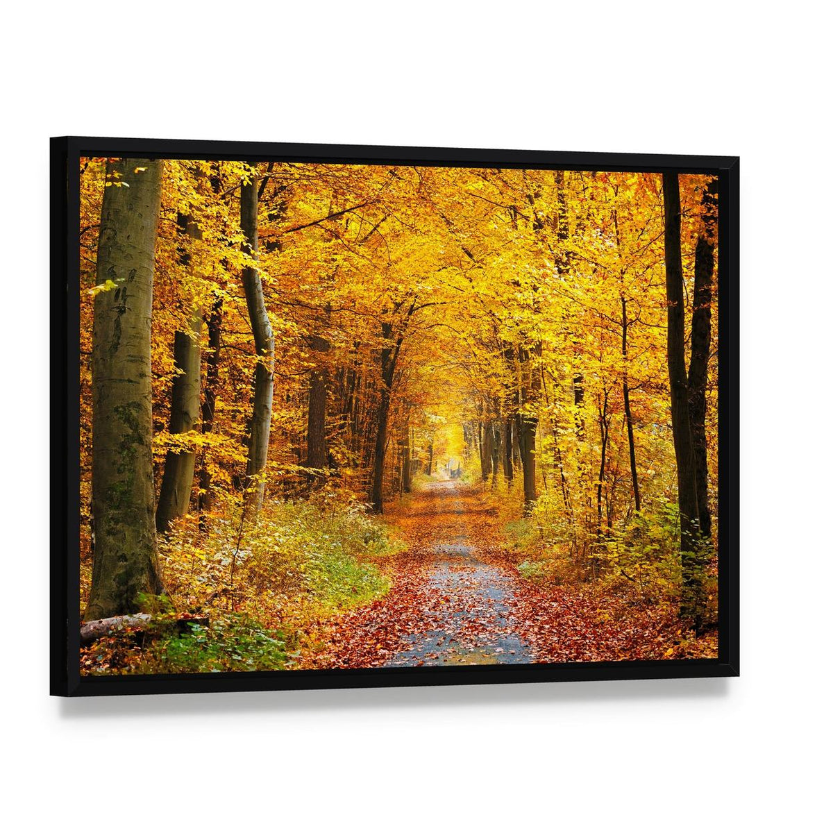 Road in the Autumn Forest Canvas Wall Art, framed canvas in a black floater frame, angled product view