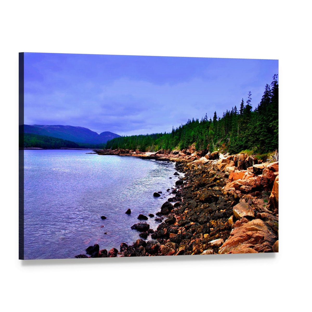Acadia National Park Coastal Forest View Canvas Wall Art, single panel gallery wrapped canvas, angled product view