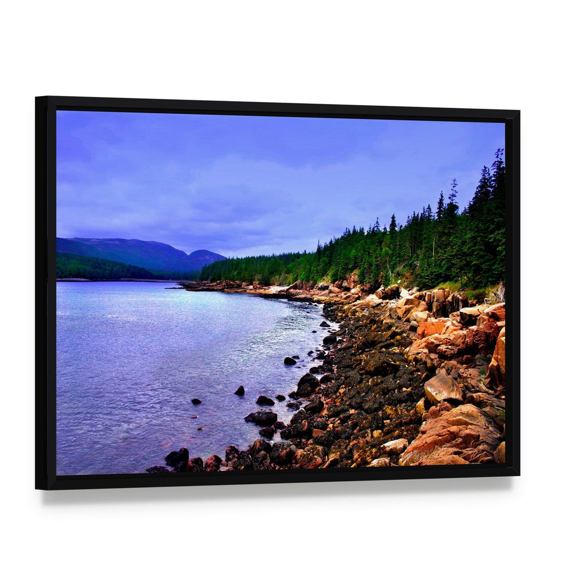 Acadia National Park Coastal Forest View Canvas Wall Art, framed canvas in a black floater frame, angled product view