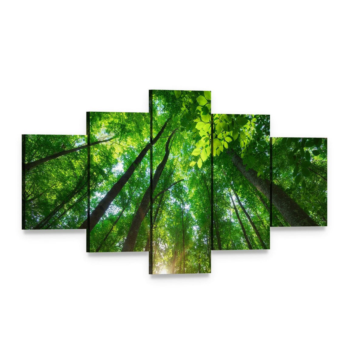 Sunlit Forest with Tall Trees Canvas Wall Art, 5 panel 5 Star layout gallery wrapped canvas set, angled product view