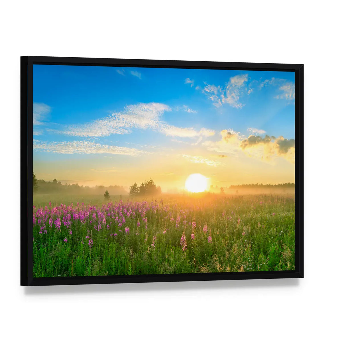 Sunrise Over Blossoming Meadow Canvas Wall Art, framed canvas in a black floater frame, angled product view