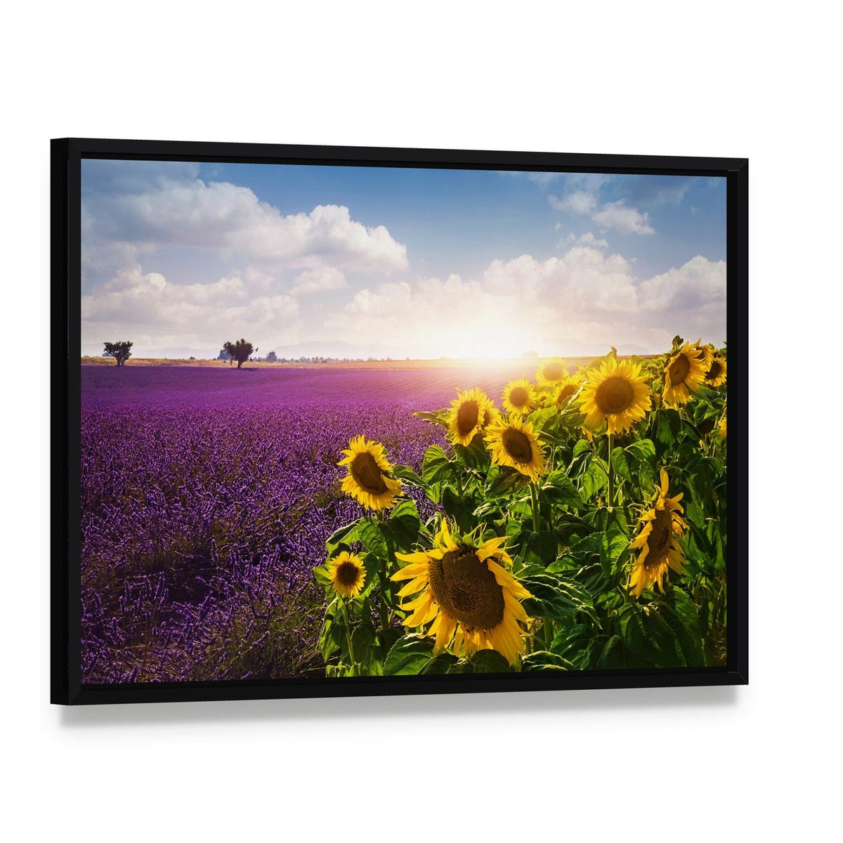 Lavender & Sunflower Fields Canvas Wall Art, framed canvas in a black floater frame, angled product view