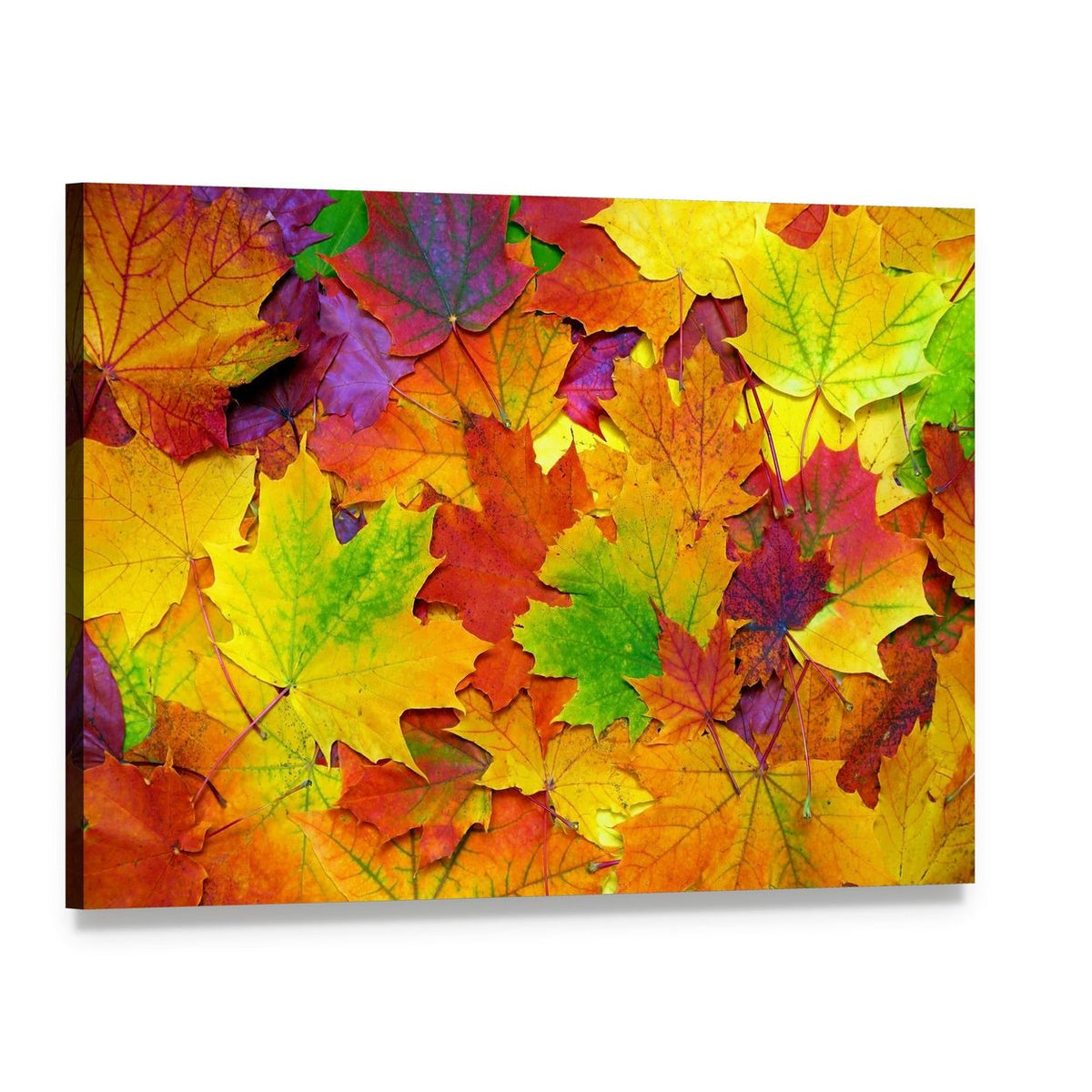 Colorful Leaves Canvas Wall Art, single panel gallery wrapped canvas, angled product view