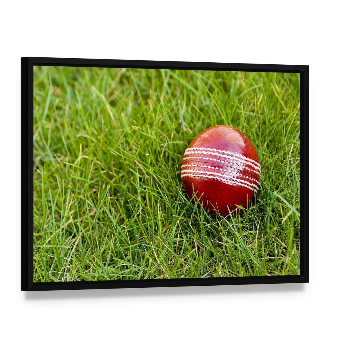 Cricket Ball Canvas Wall Art, framed canvas in a black floater frame, angled product view
