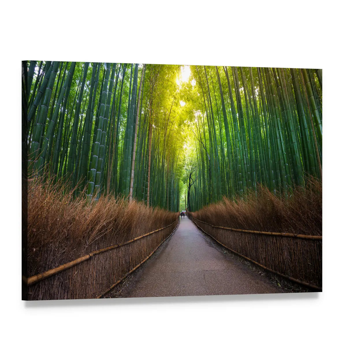 Bamboo Forest Footpath in Japan Canvas Wall Art, single panel gallery wrapped canvas, angled product view