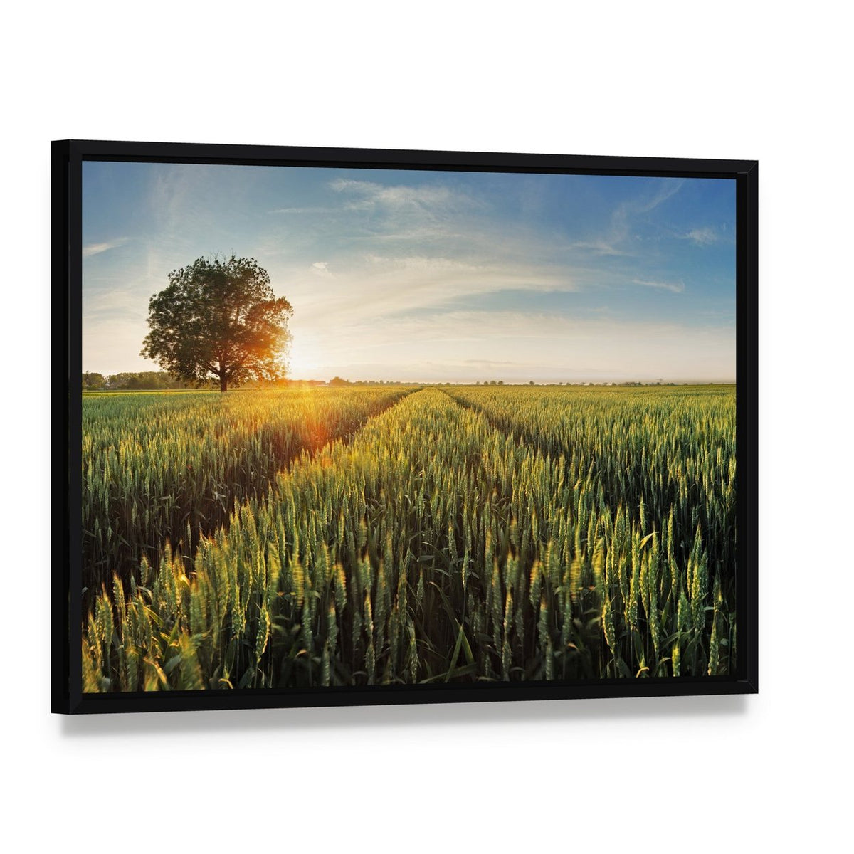 Wheat Field at Sunset Canvas Wall Art, framed canvas in a black floater frame, angled product view