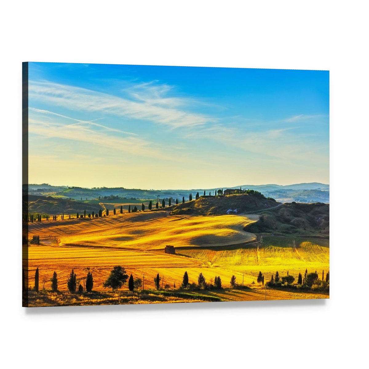 Cypress-lined Path to Hilltop Farmhouse Canvas Wall Art, single panel gallery wrapped canvas, angled product view
