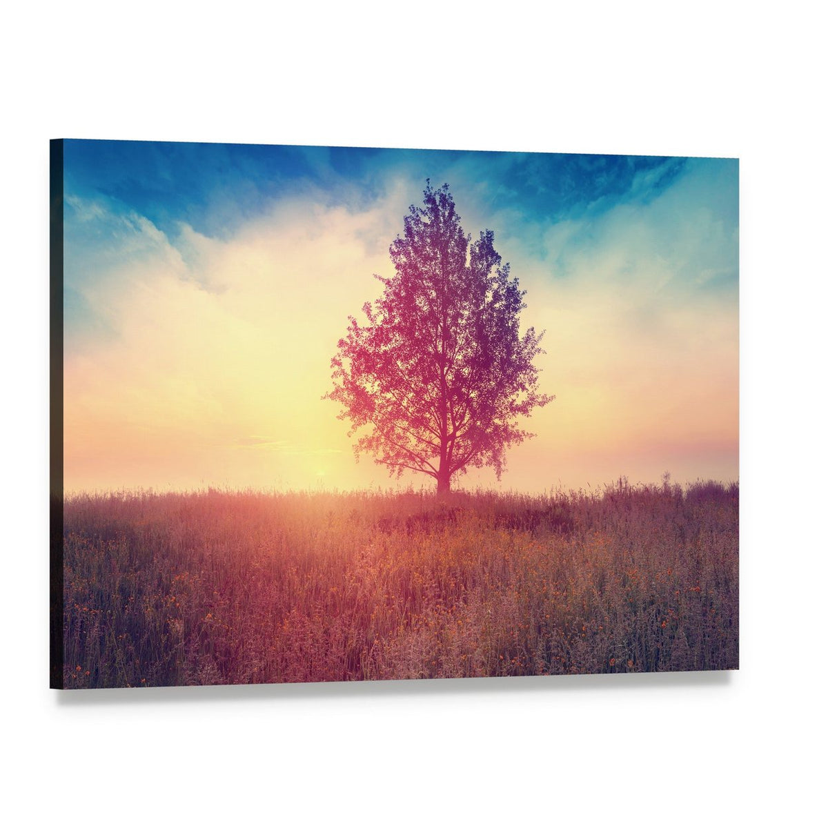Lone Tree at Sunset Canvas Wall Art, single panel gallery wrapped canvas, angled product view