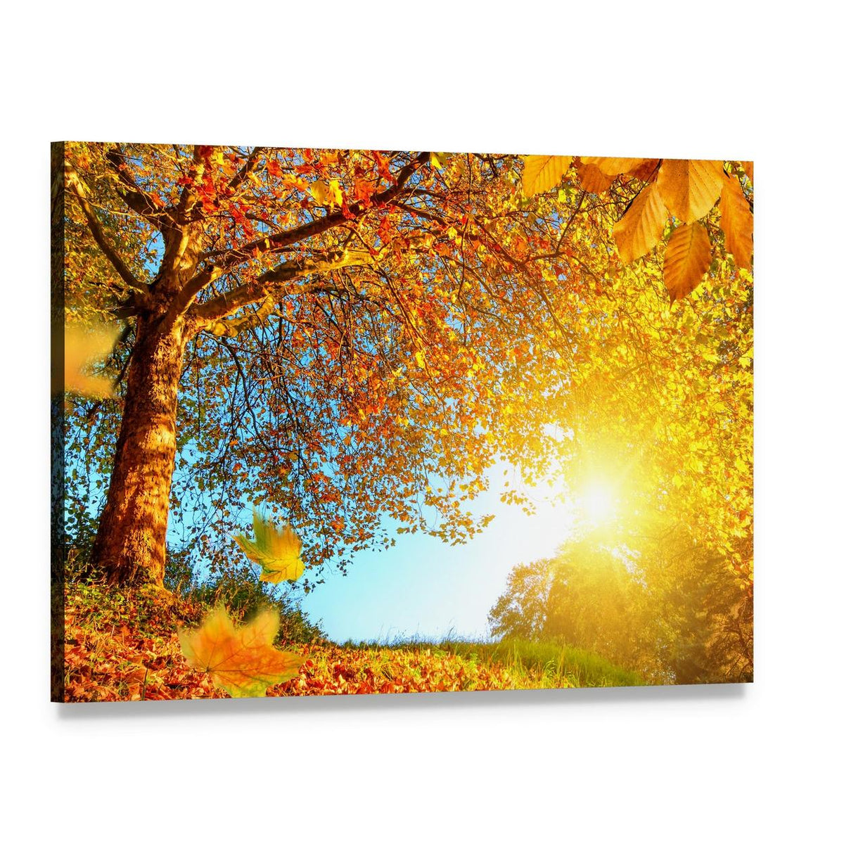 Golden Autumn Scenery Canvas Wall Art, single panel gallery wrapped canvas, angled product view