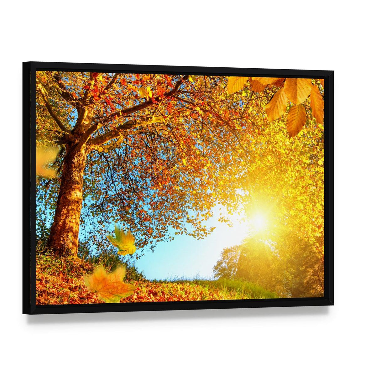 Golden Autumn Scenery Canvas Wall Art, framed canvas in a black floater frame, angled product view