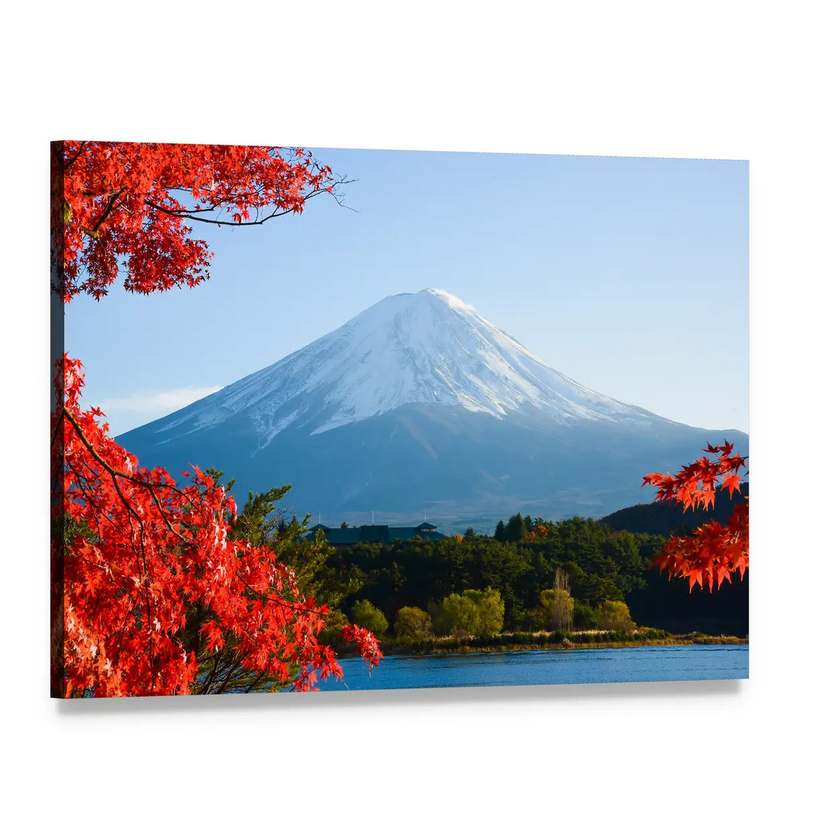 Mount Fuji in Autumn Canvas Wall Art, single panel gallery wrapped canvas, angled product view