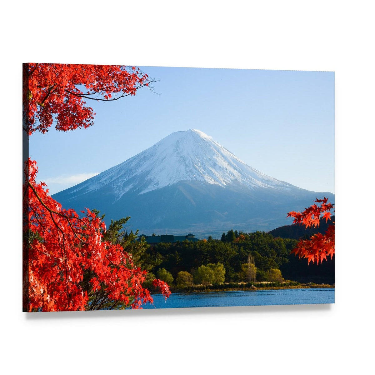 Mount Fuji in Autumn Canvas Wall Art, single panel gallery wrapped canvas, angled product view