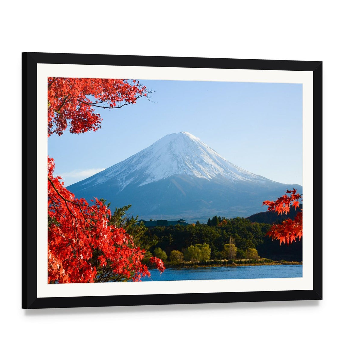 Mount Fuji in Autumn Canvas Wall Art, framed print with white mat and black frame, angled product view