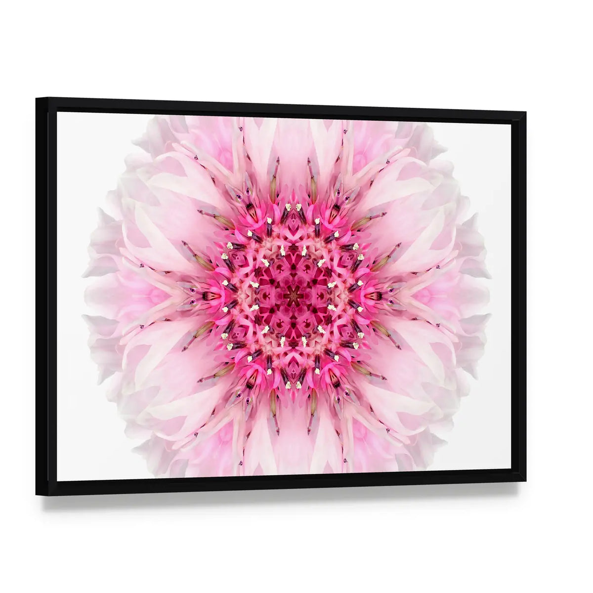 Pink Cornflower Mandala Canvas Wall Art, framed canvas in a black floater frame, angled product view