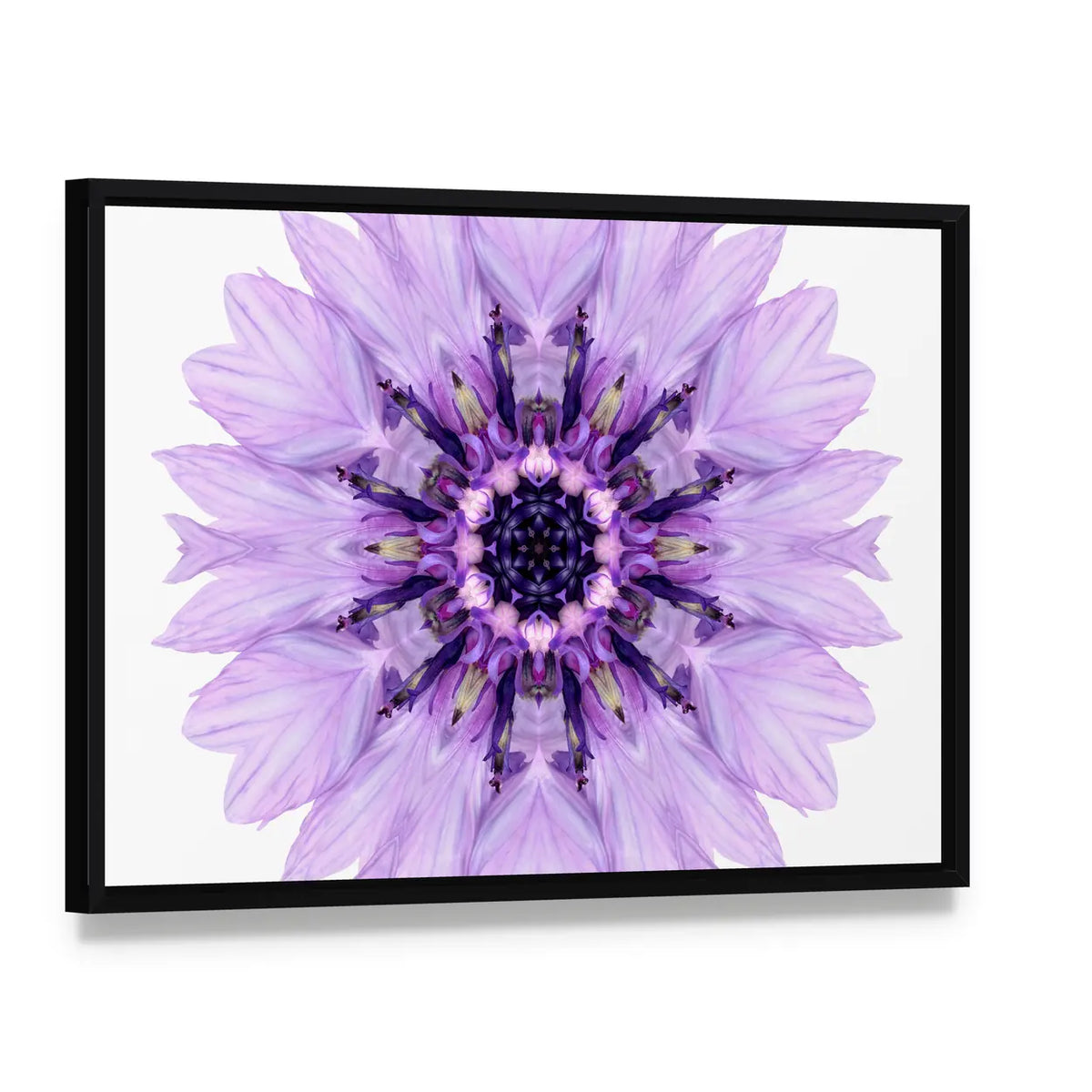 Purple Cornflower Mandala Canvas Wall Art, framed canvas in a black floater frame, angled product view