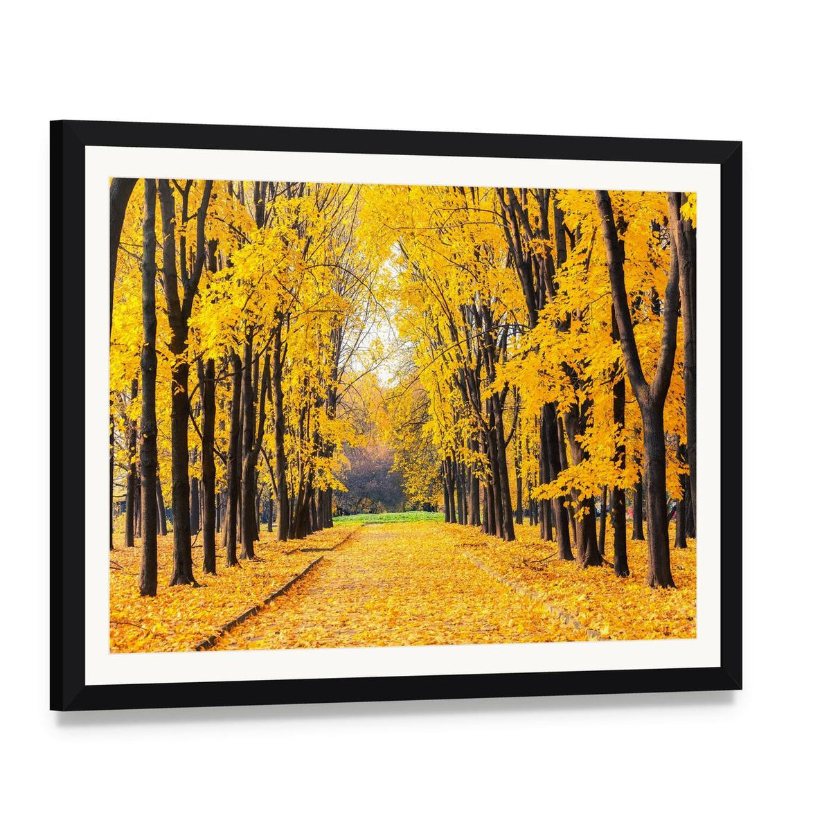 Autumn Path Through Trees Canvas Wall Art, framed print with white mat and black frame, angled product view