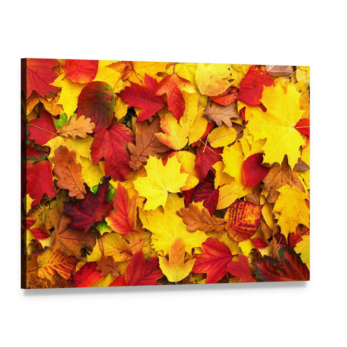 Fallen Autumn Leaves Canvas Wall Art, single panel gallery wrapped canvas, angled product view