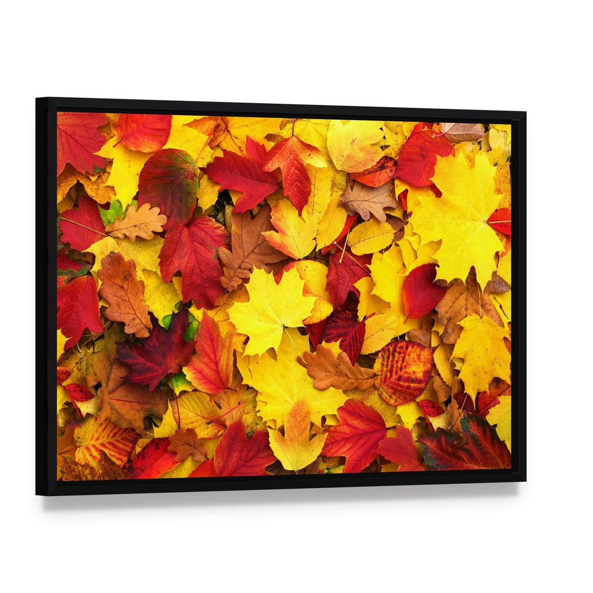 Fallen Autumn Leaves Canvas Wall Art, framed canvas in a black floater frame, angled product view
