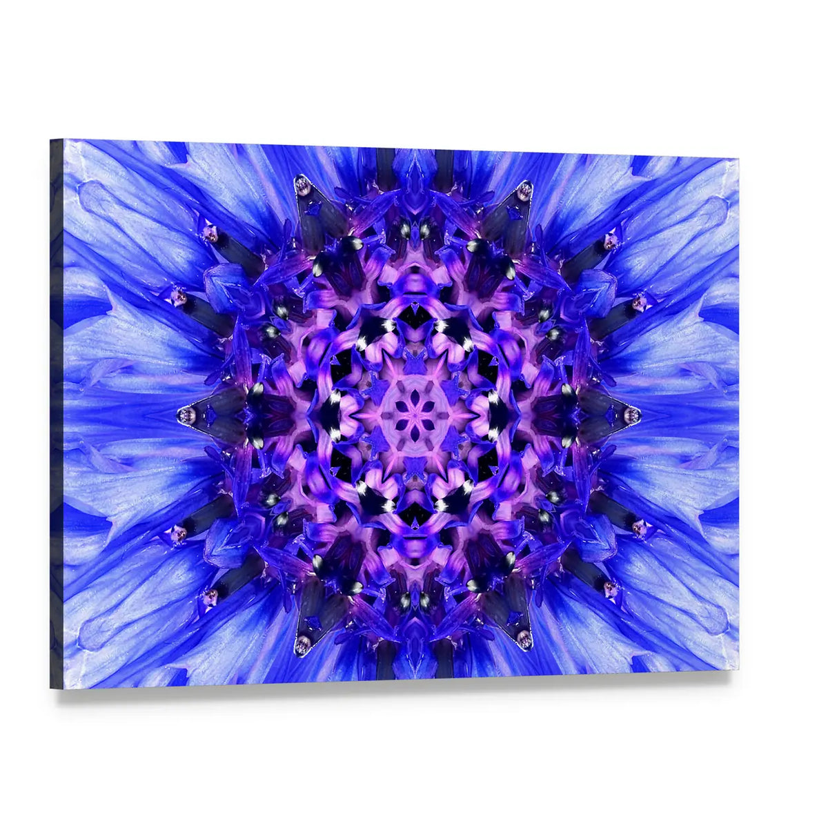 Blue Mandala Flower Canvas Wall Art, single panel gallery wrapped canvas, angled product view