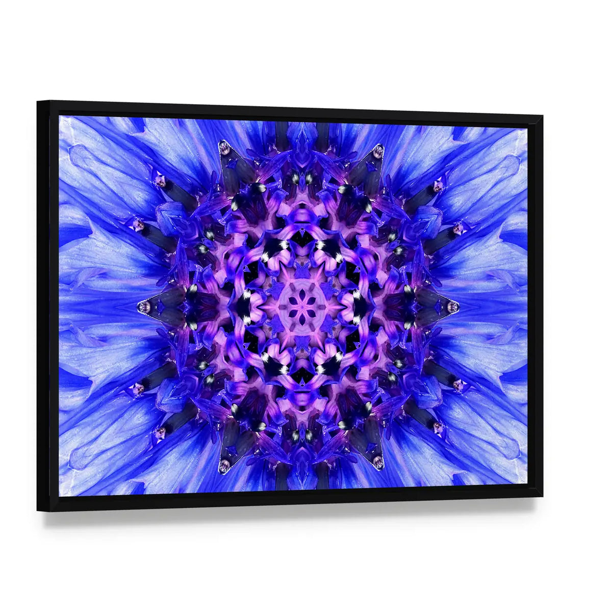 Blue Mandala Flower Canvas Wall Art, framed canvas in a black floater frame, angled product view