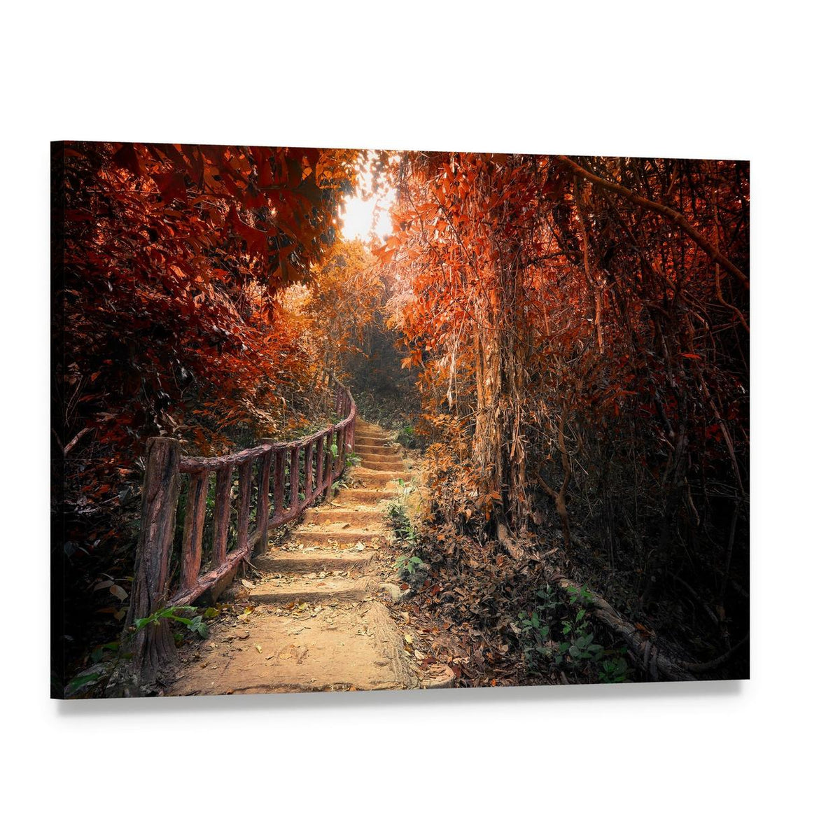 Autumn Forest Path with Sunlight Canvas Wall Art, single panel gallery wrapped canvas, angled product view