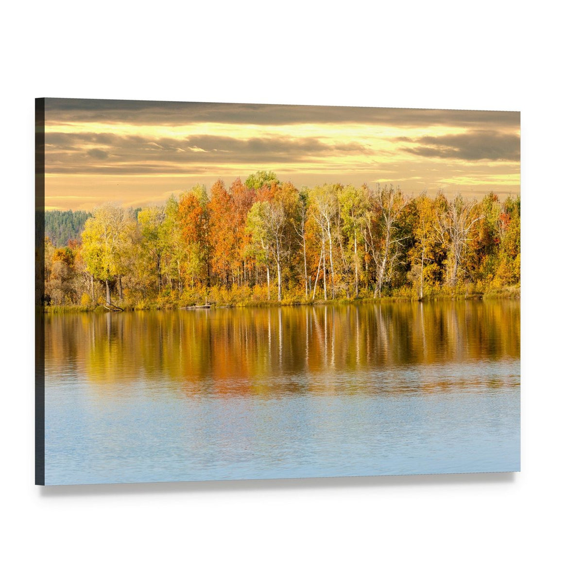 Autumn Forest by a Calm Lake Canvas Wall Art, single panel gallery wrapped canvas, angled product view