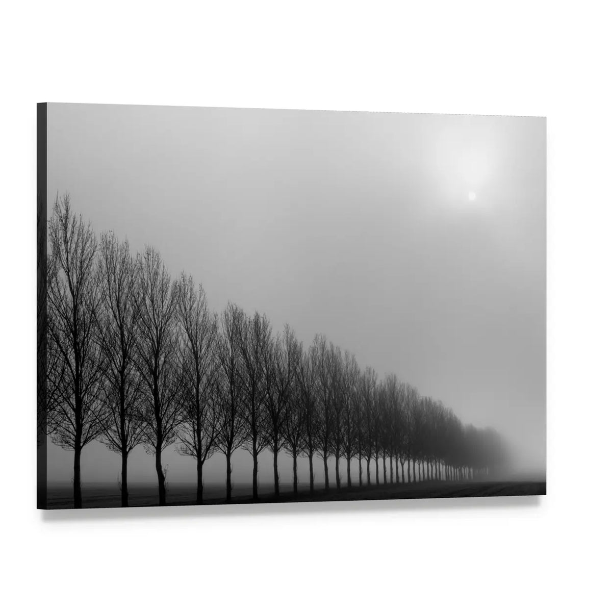 Autumn Trees in Mist Canvas Wall Art, single panel gallery wrapped canvas, angled product view