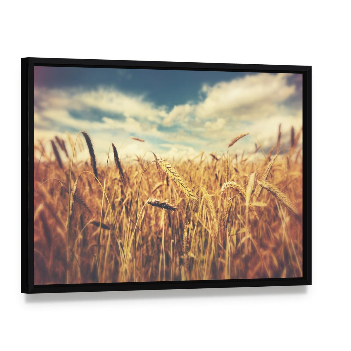 Sunny Wheat Field Canvas Wall Art, framed canvas in a black floater frame, angled product view