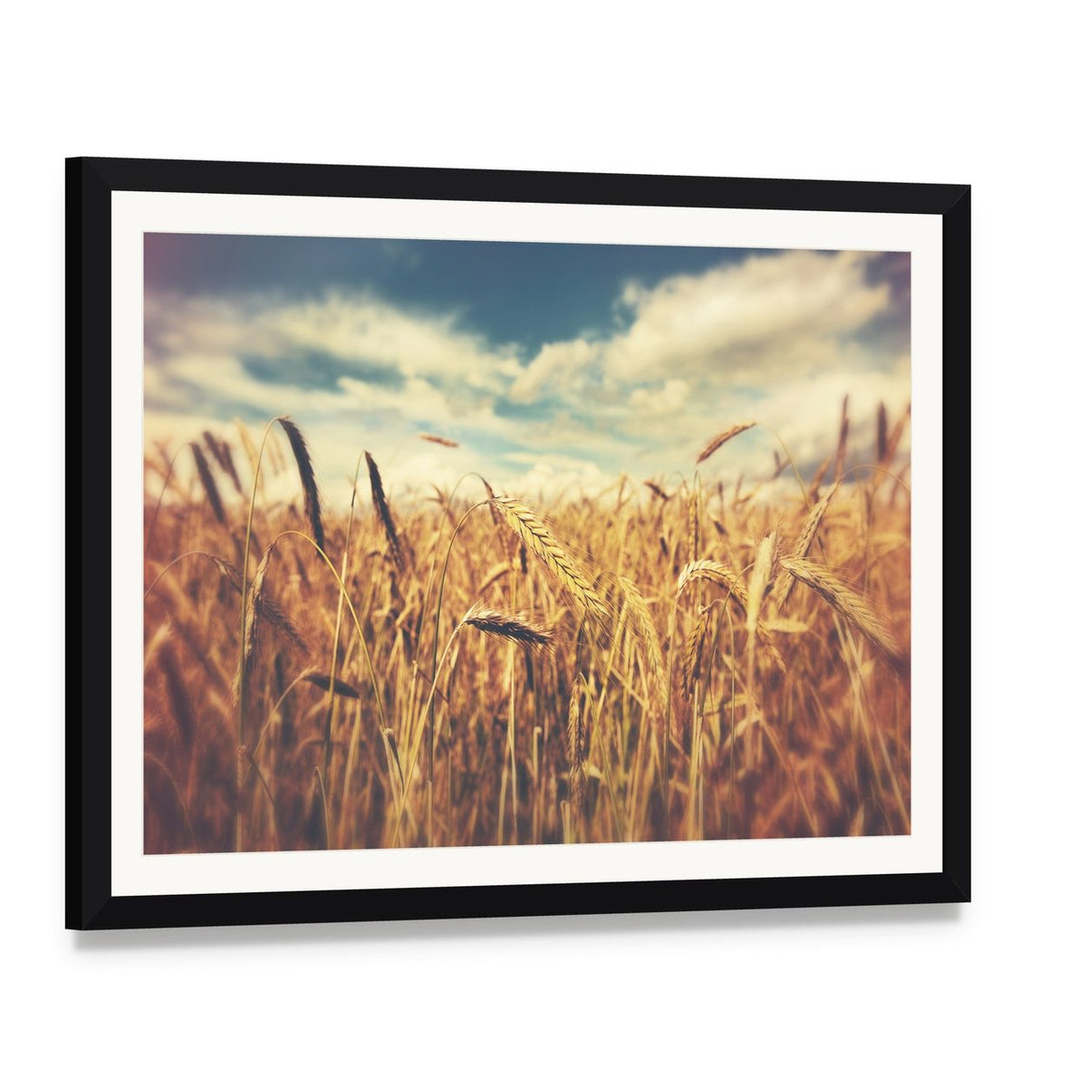 Sunny Wheat Field Canvas Wall Art, framed print with white mat and black frame, angled product view