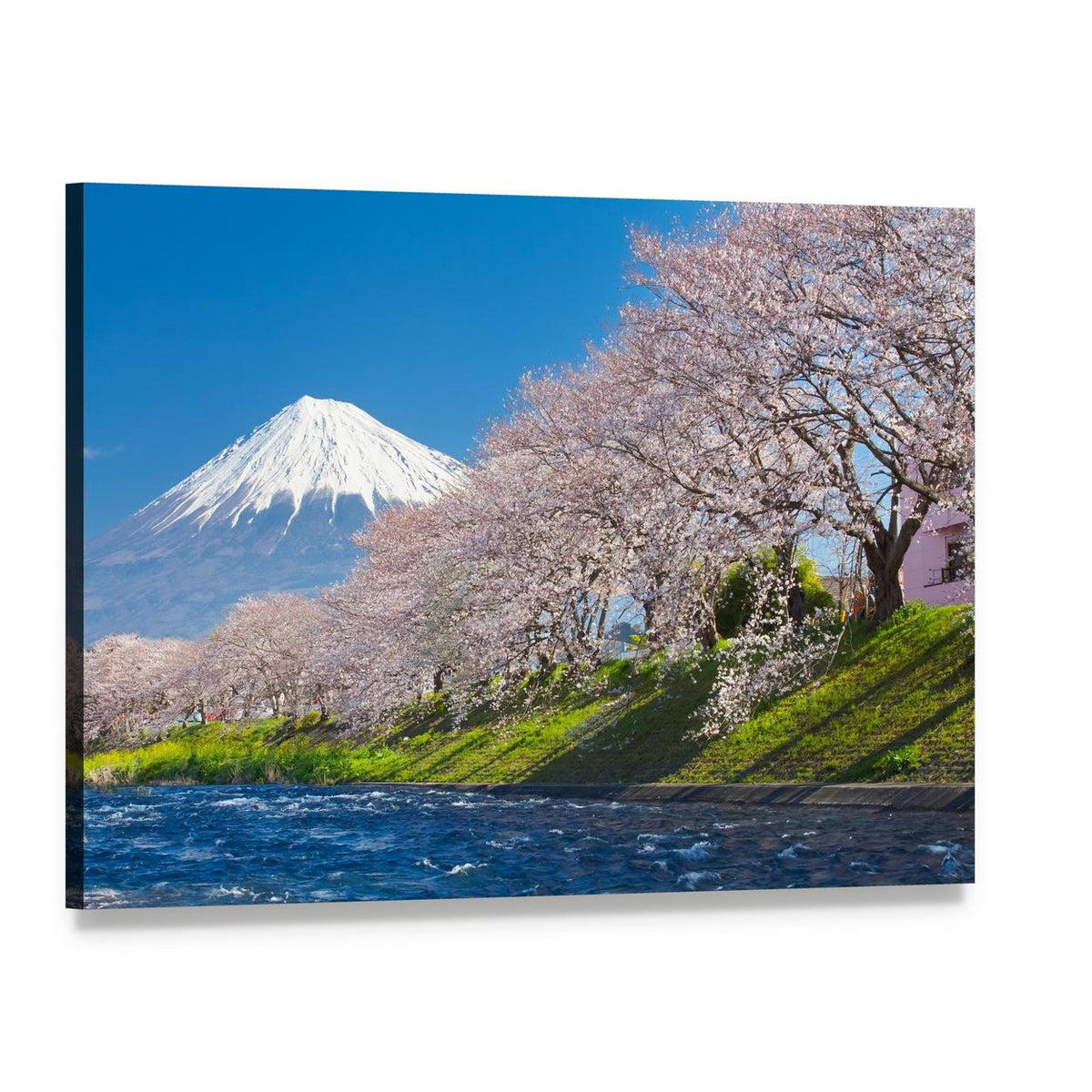 Mountain Fuji and Cherry Blossoms Canvas Wall Art, single panel gallery wrapped canvas, angled product view