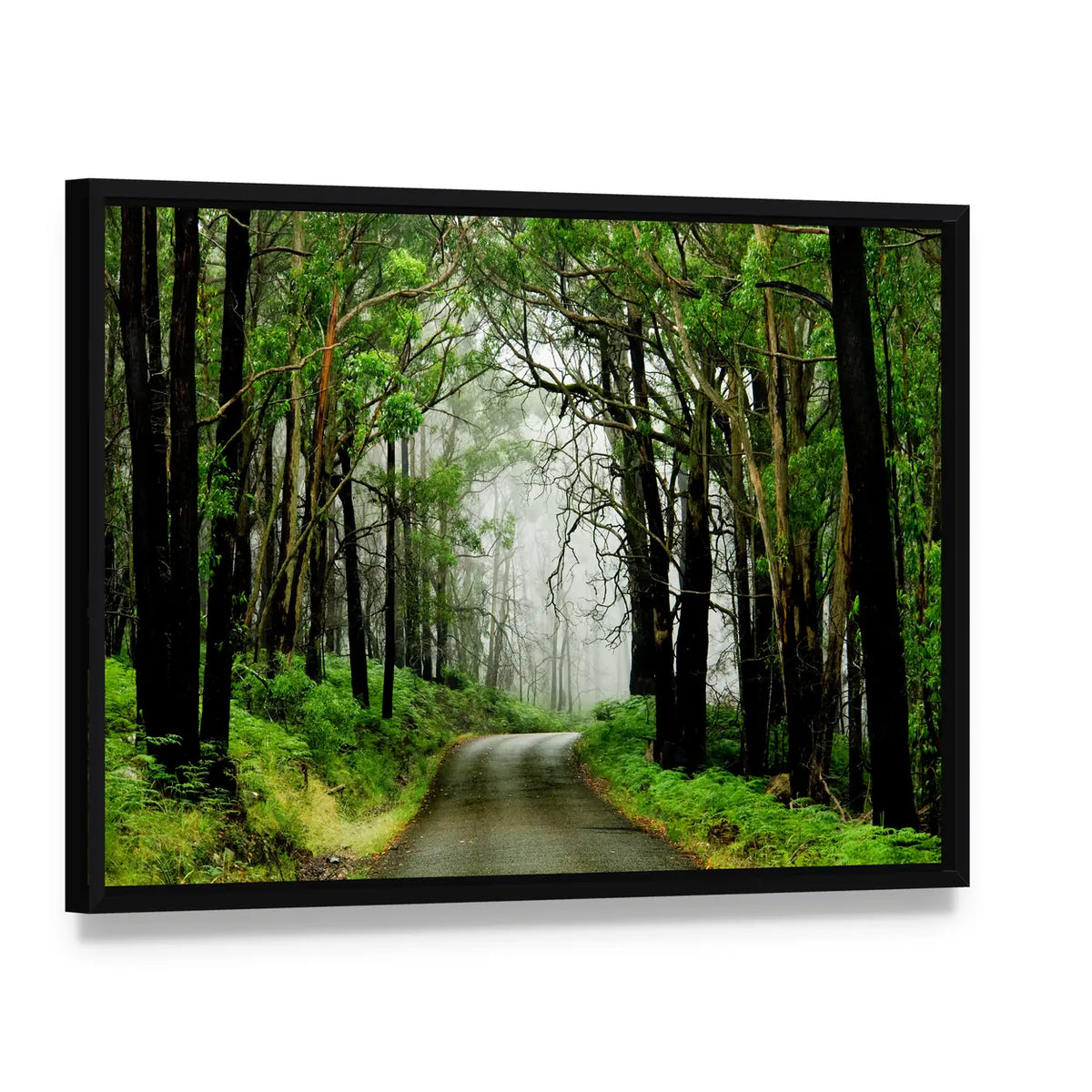 Forest Road With Fog Canvas Wall Art, framed canvas in a black floater frame, angled product view