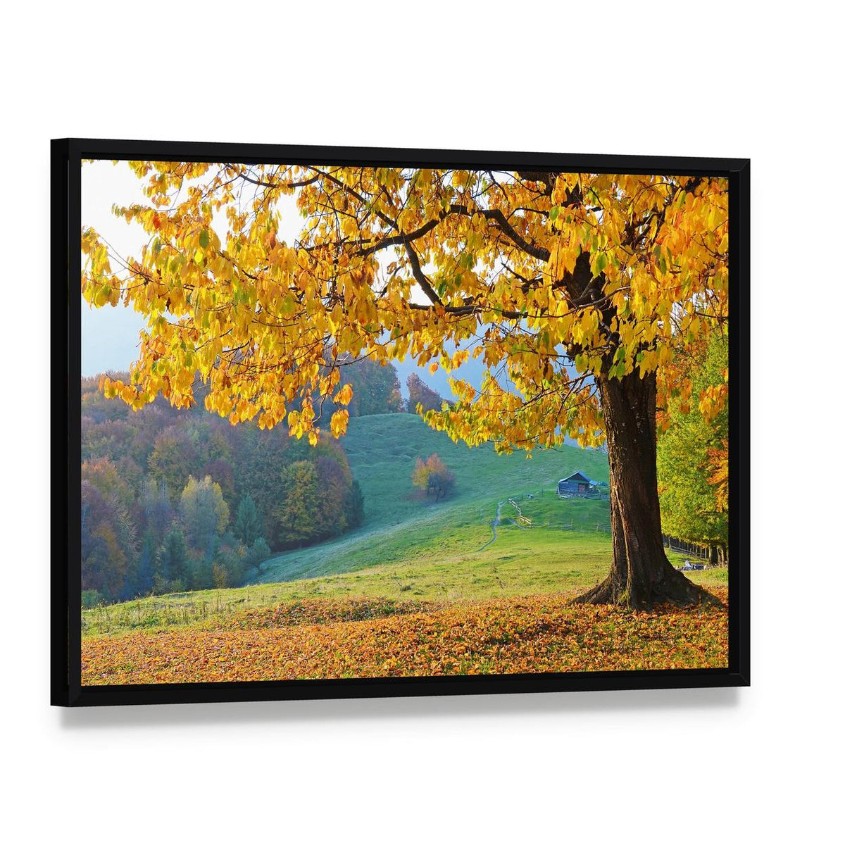 Autumn Trees and Fallen Leaves Canvas Wall Art, framed canvas in a black floater frame, angled product view