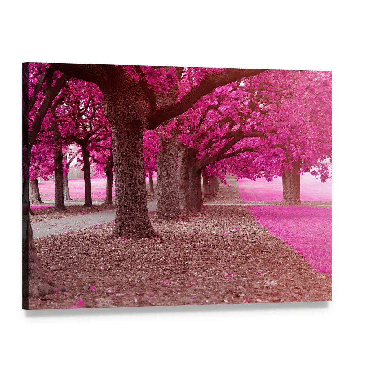 Pink Trees Park Pathway Canvas Wall Art, single panel gallery wrapped canvas, angled product view